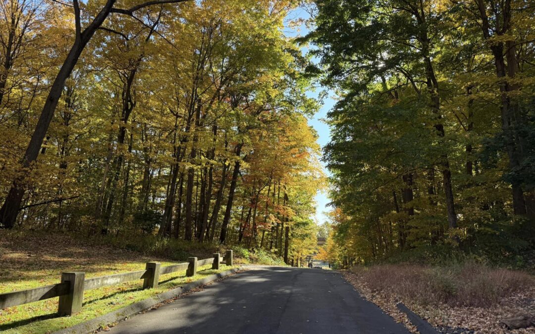 A Memorable Hike at Hubbard Park